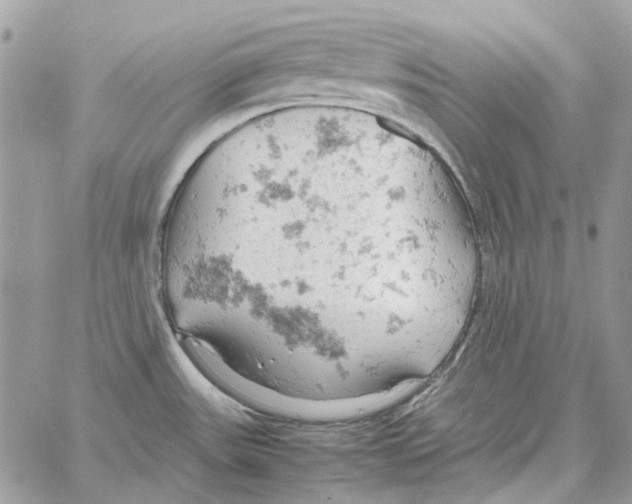 X0000061741531200512302158