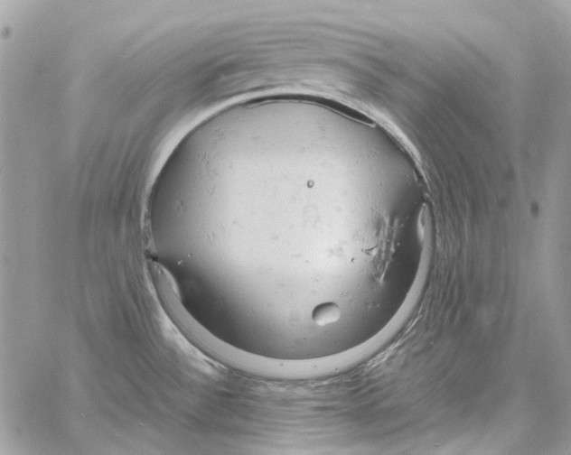 X0000061741532200512302158