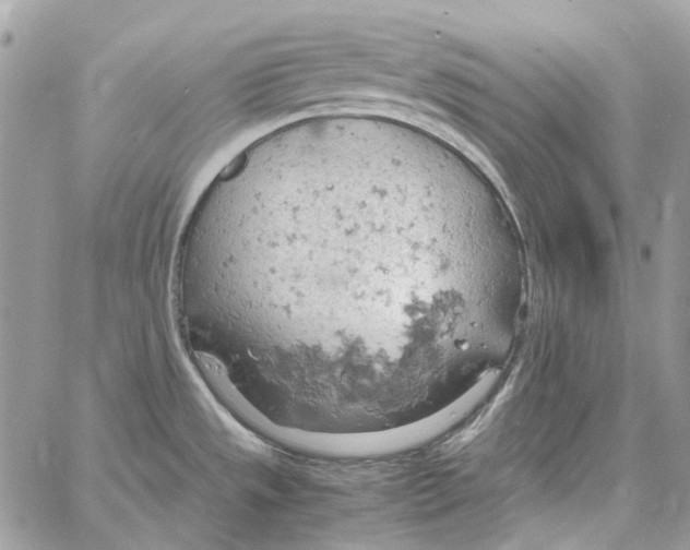 X0000061741533200512302158