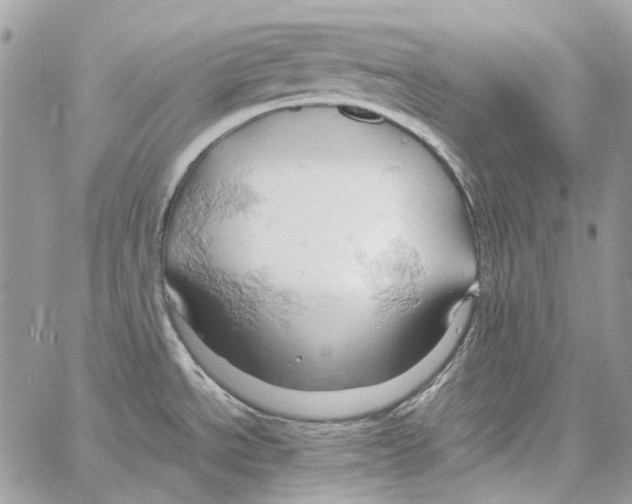 X0000061741534200512302158