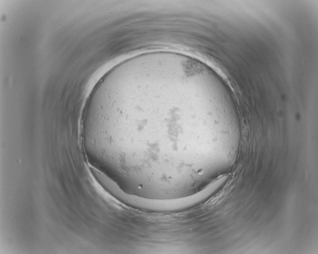 X0000061741535200512302158