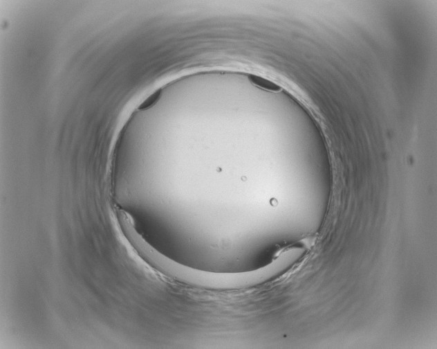 X0000061741536200512302158