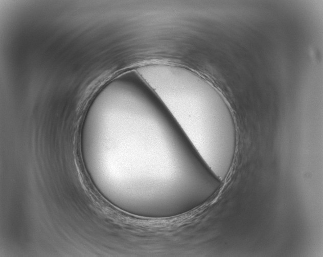 X0000061750001200512021124
