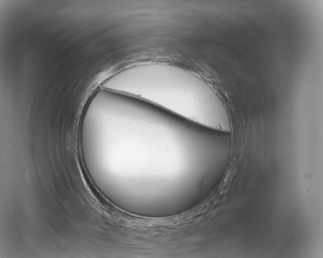 X0000061750003200512021124