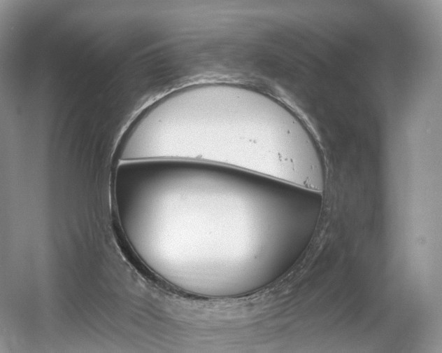 X0000061750011200512021124