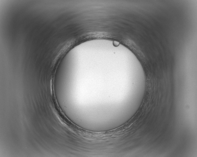 X0000061750014200512021124