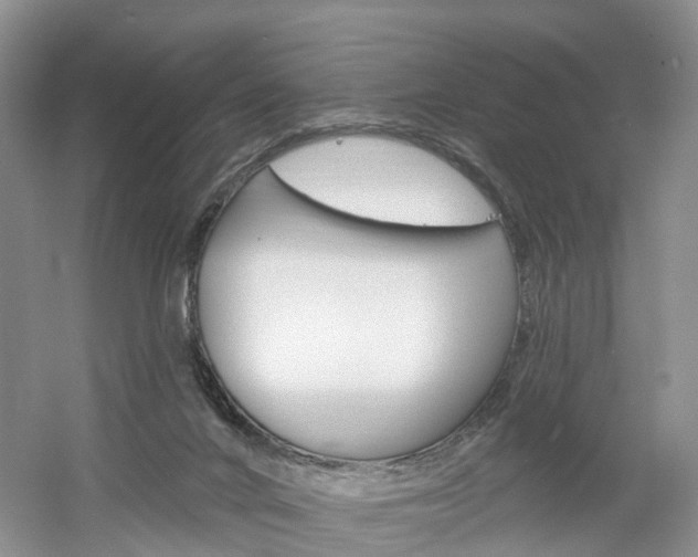 X0000061750024200512021124