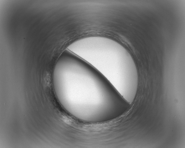 X0000061750025200512021124