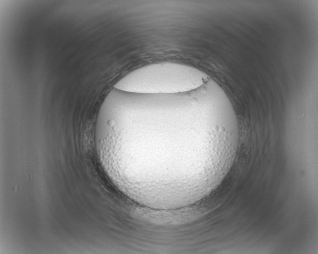 X0000061750030200512021124
