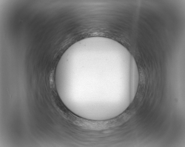 X0000061750032200512021124