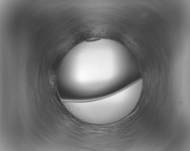 X0000061750033200512021124