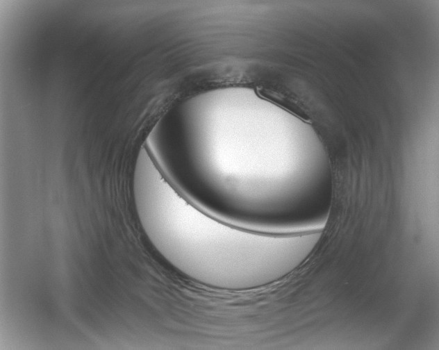 X0000061750035200512021124