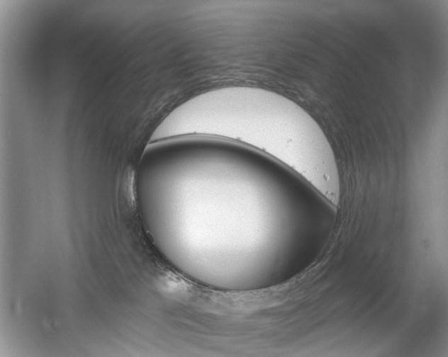 X0000061750041200512021123