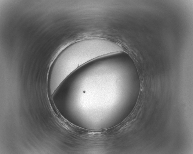 X0000061750052200512021123