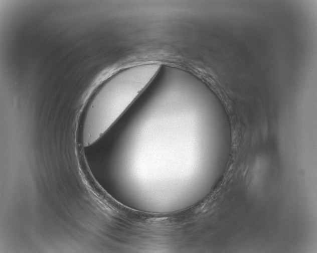 X0000061750054200512021123