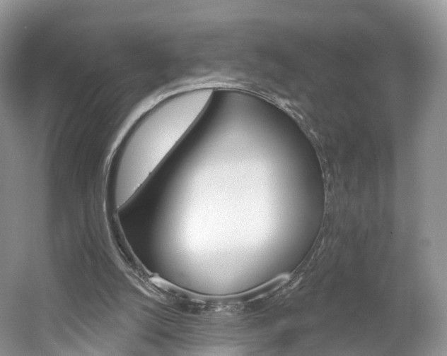 X0000061750056200512021123