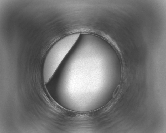 X0000061750057200512021123