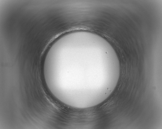 X0000061750064200512021123