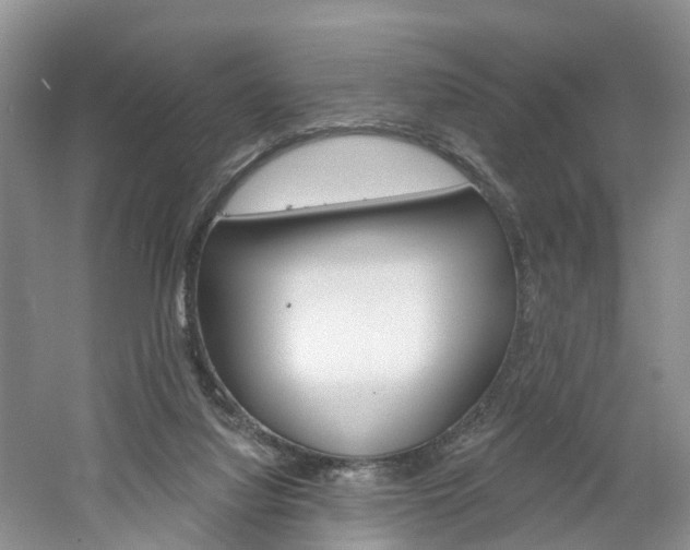 X0000061750068200512021123