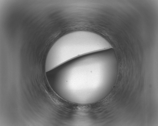 X0000061750070200512021123