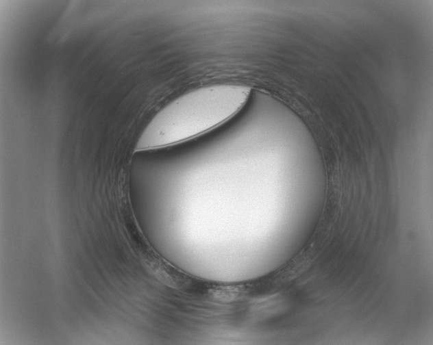 X0000061750079200512021123