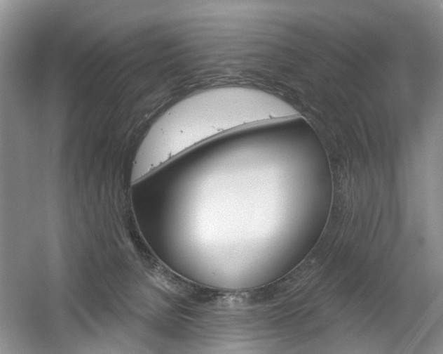 X0000061750080200512021123
