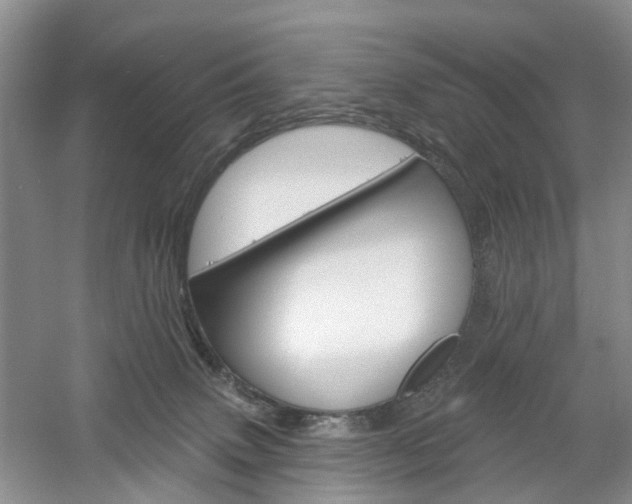 X0000061750083200512021123