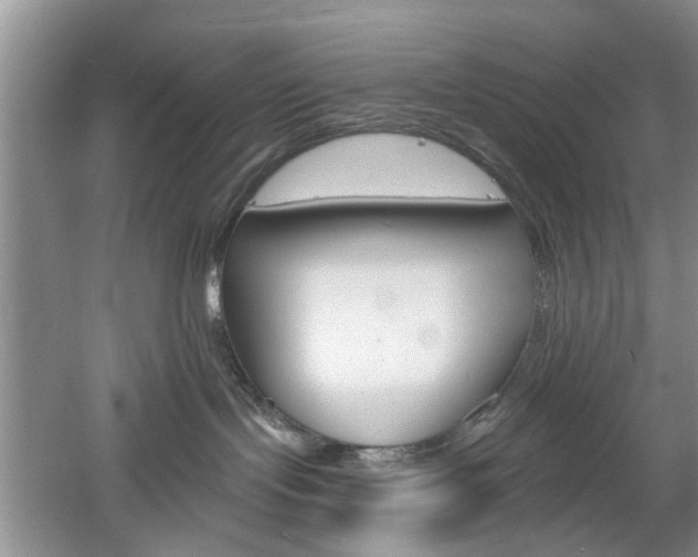 X0000061750095200512021123