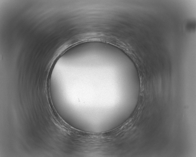 X0000061750099200512021122