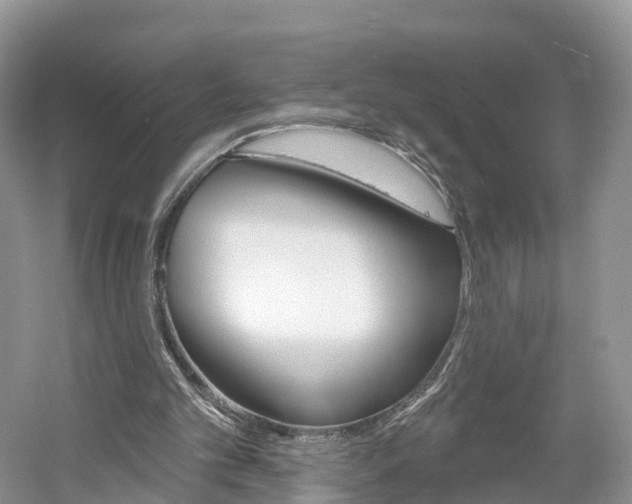 X0000061750101200512021122