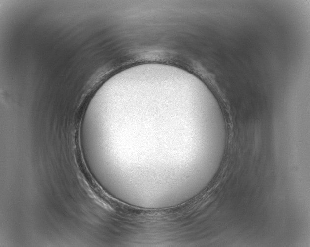 X0000061750106200512021122