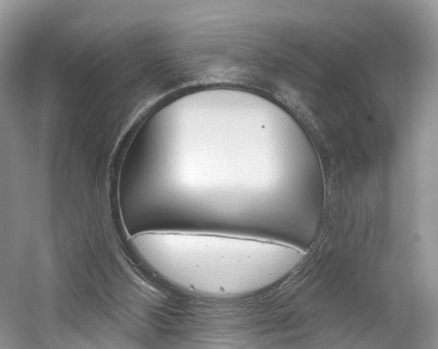 X0000061750108200512021122