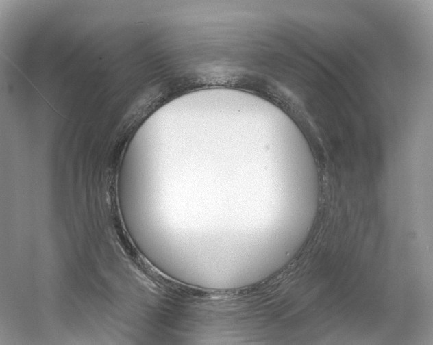 X0000061750114200512021122