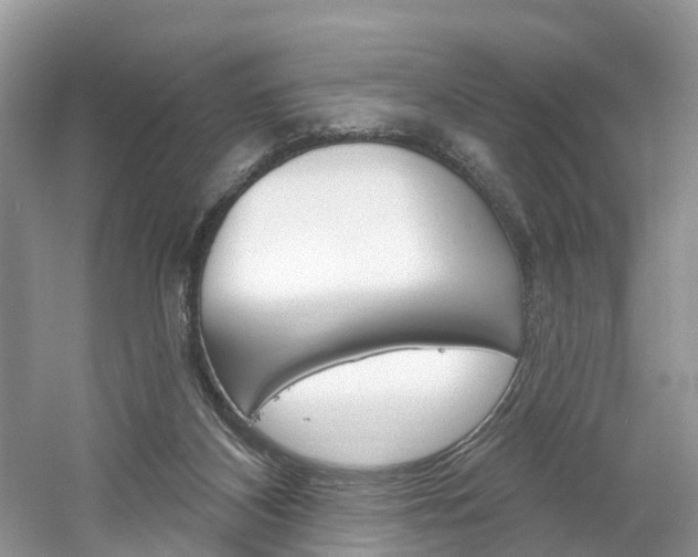 X0000061750116200512021122