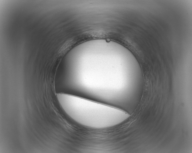 X0000061750117200512021122