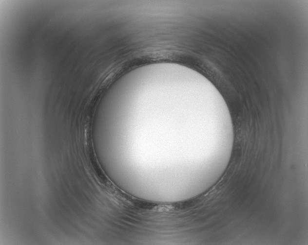 X0000061750124200512021122