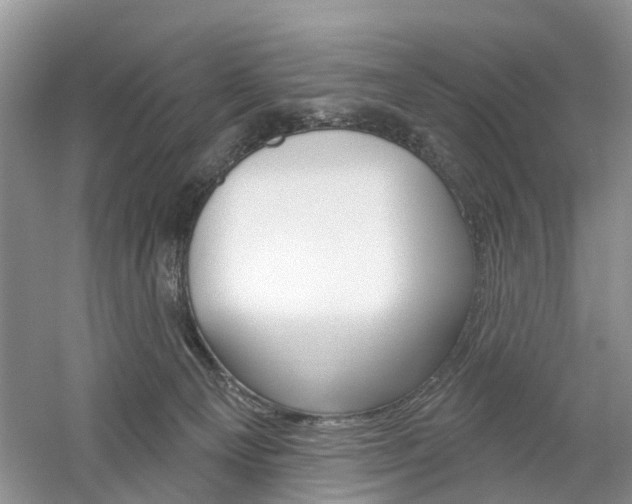 X0000061750129200512021122