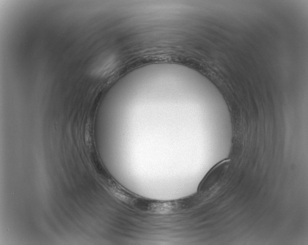 X0000061750131200512021122