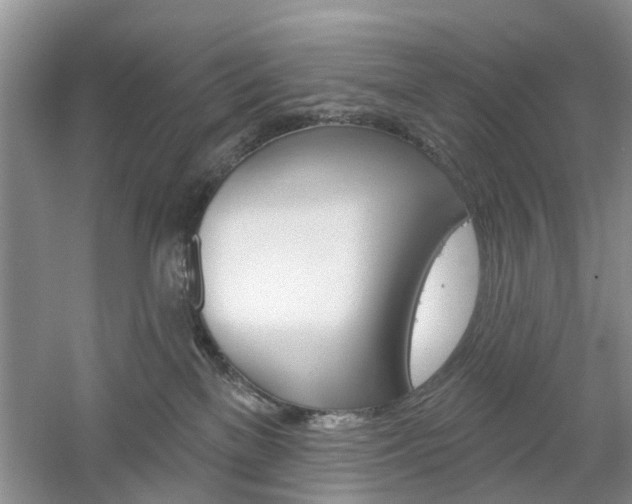 X0000061750137200512021122