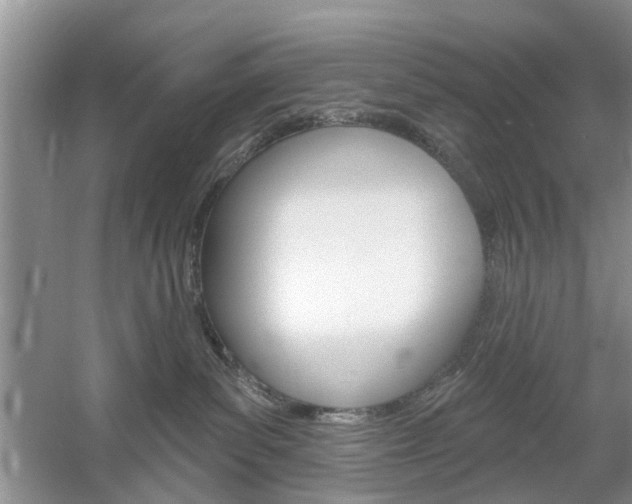 X0000061750139200512021122