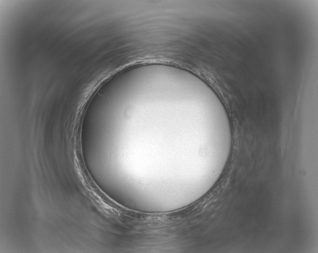 X0000061750145200512021121