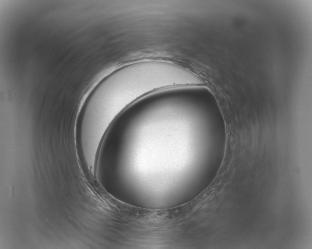 X0000061750148200512021121