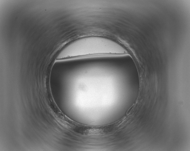 X0000061750154200512021121