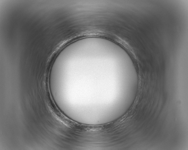 X0000061750155200512021121