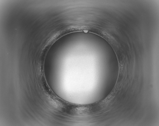X0000061750158200512021121