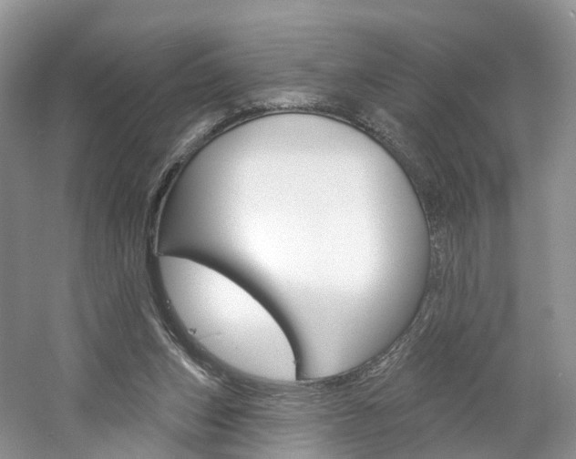 X0000061750159200512021121