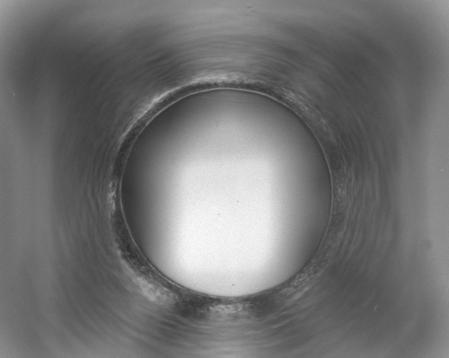 X0000061750160200512021121