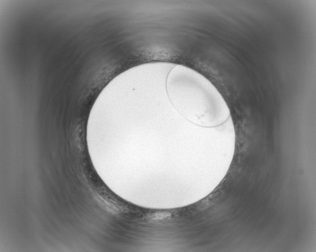 X0000061750162200512021121
