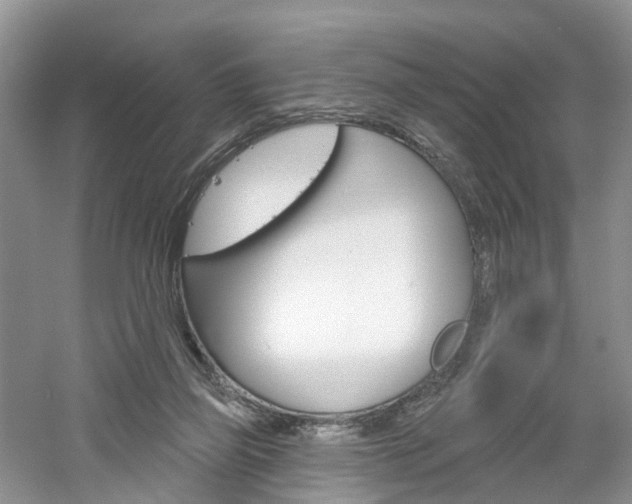 X0000061750165200512021121