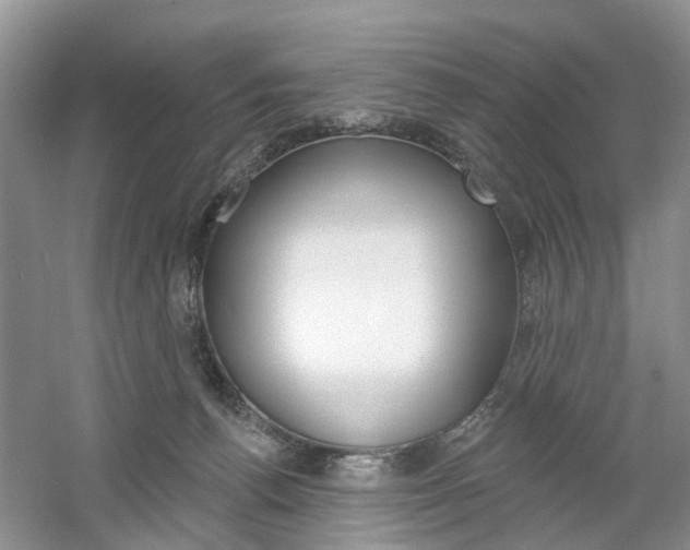 X0000061750176200512021121